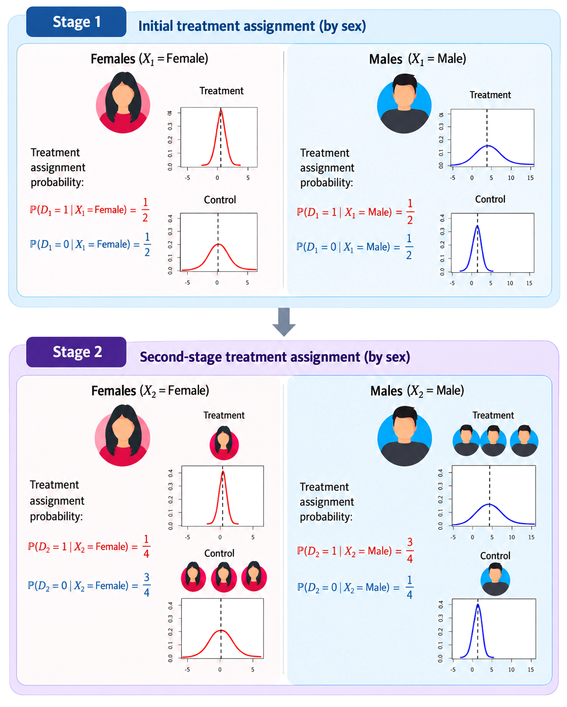Two-stage covariate-adjusted response-adaptive design: equal treatment assignment by sex in stage 1, then assignment probabilities that shift toward the arm that benefits each sex in stage 2