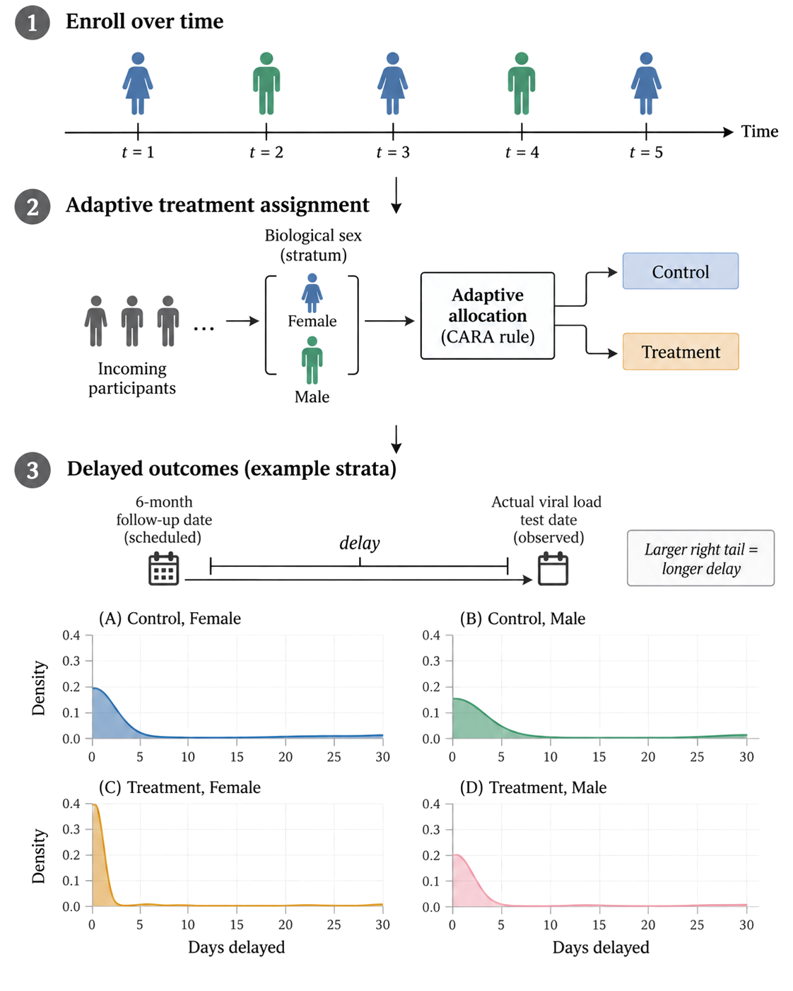 A covariate-adjusted response-adaptive trial with delayed outcomes: participants enroll over time, are assigned by a CARA rule within sex strata, and their outcomes arrive after stratum-specific delays