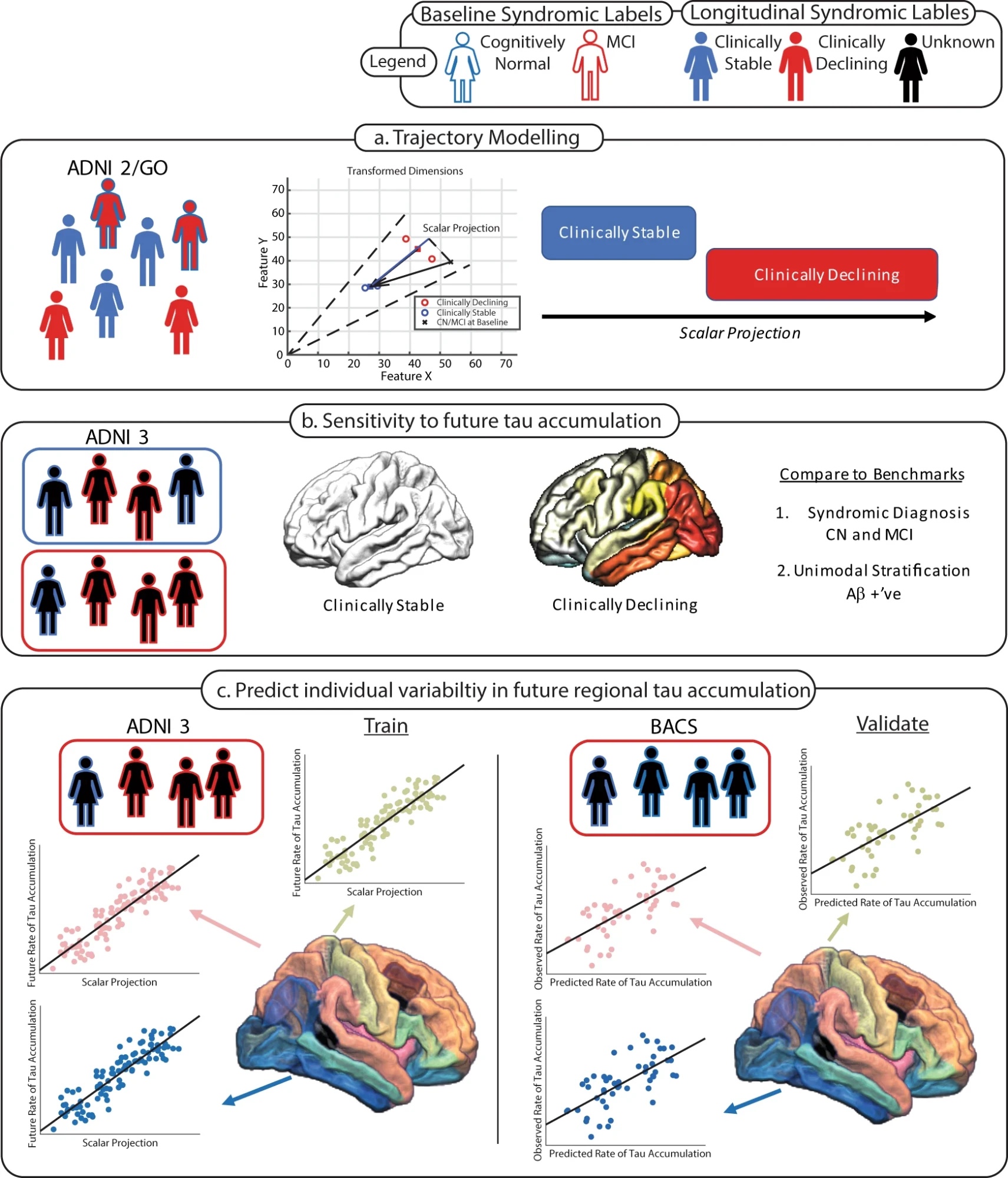 Multimodal trajectory model: clinically stable and declining participants in ADNI projected onto a scalar axis, sensitivity to future tau accumulation, and prediction of individual regional tau accumulation trained in ADNI 3 and validated in BACS